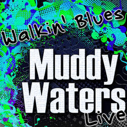 Walkin' Blues (Live)