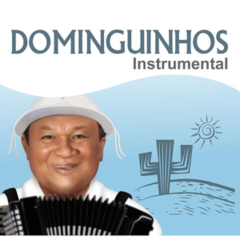 Dominguinhos Instrumental