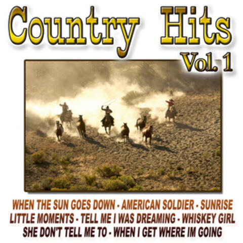 Country Hits Vol.1