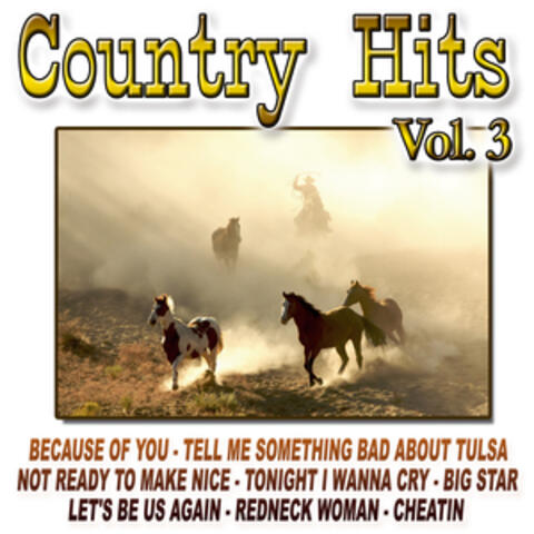 Country Hits Vol.3