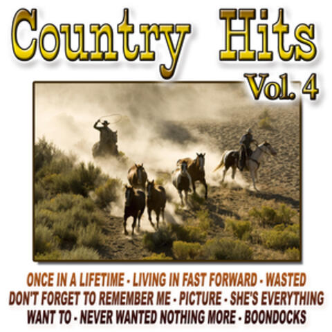 Country Hits Vol.4