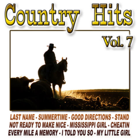 Country Hits Vol.7
