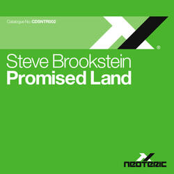 Promised Land [Bassmonkeys Radio Edit]