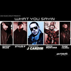 What You Sayin' (feat. Styles P., Masspike Miles, Tuge Palermo and French Montana)