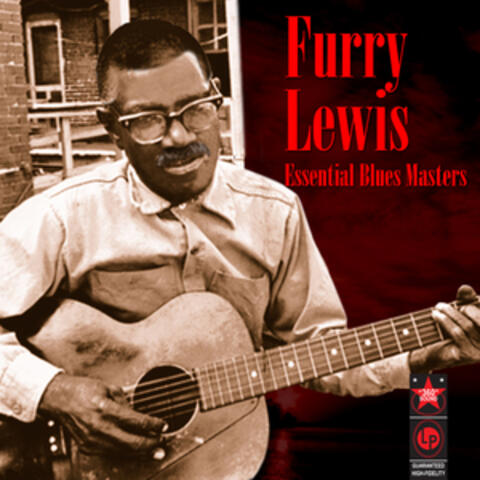 Essential Blues Masters