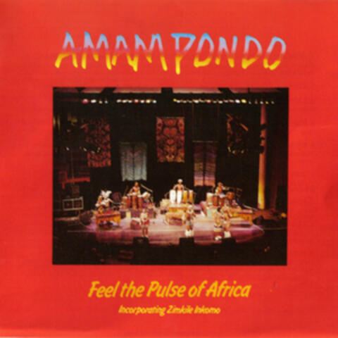 Feel the Pulse of Africa