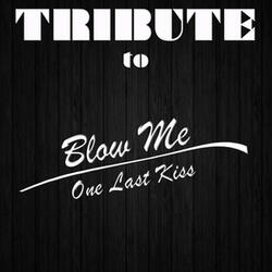 Blow Me (One Last Kiss) - Instrumental