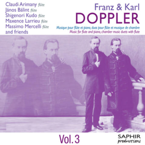 Doppler: Musique pour flûte et piano, deux flûtes et formations diverses Vol. 3