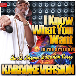I Know What You Want (In the Style of Busta Rhymes and Mariah Carey) [Karaoke Version]