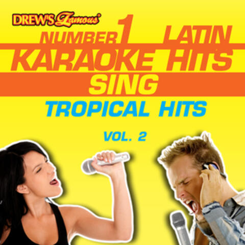 Drew's Famous #1 Latin Karaoke Hits: Sing Tropical Hits, Vol. 2