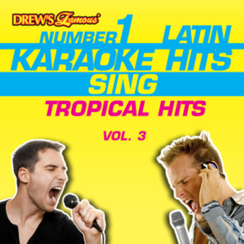 Drew's Famous #1 Latin Karaoke Hits: Sing Tropical Hits, Vol. 3