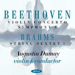 String Sextet No. 1 in B-Flat Major, Op. 18: III. Scherzo - Allegro molto