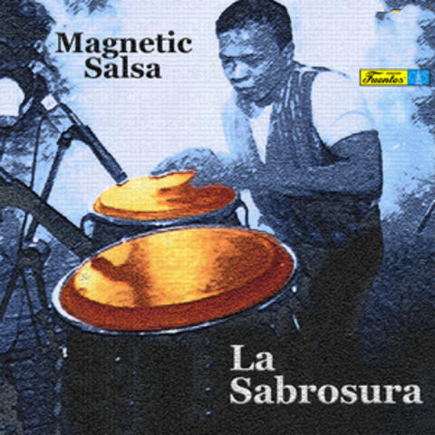 Magnetic Salsa