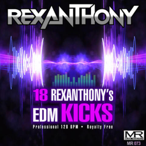 18 Rexanthony's EDM Kicks