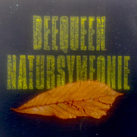 Natursymfonie
