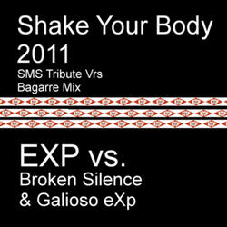 Shake Your Body (Bagarre Mix)