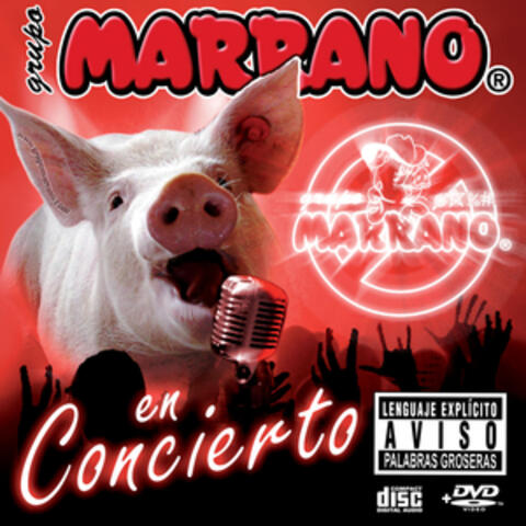 Grupo Marrano en concierto