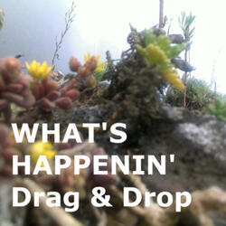 Whats Happenin' (First Mix)