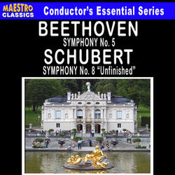 Symphony No. 8 in B Minor, D. 759 "Unfinished": I. Allegro moderato