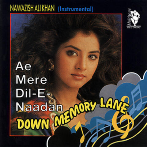 Down Memory Lane - Ae Mere Dil -E- Naadan