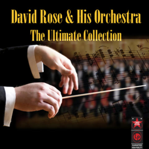 David Rose & His Orchestra