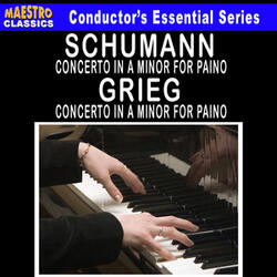 Piano Concerto in A Minor, Op. 16: II. Adagio