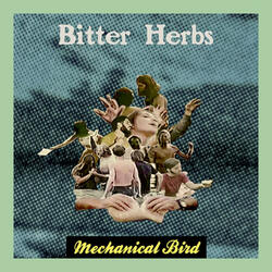 Bitter Herbs (Radio Edit)