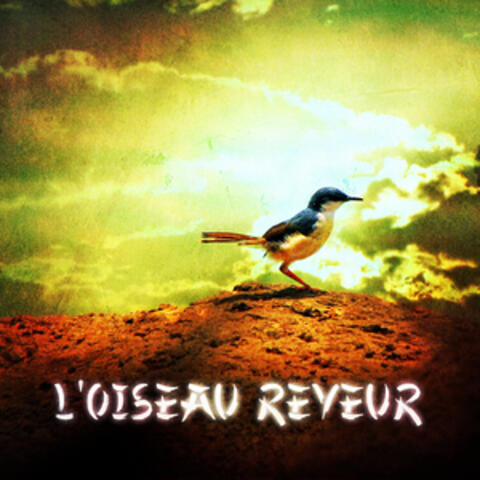 Zen & Relaxation: L'oiseau rêveur