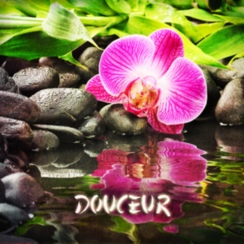 Zen & Relaxation: Douceur