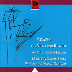 Sonata No. 2 in E-Flat Major for Viola & Piano, Op. 120: III. Andante con moto