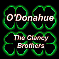 Bold O'donahue