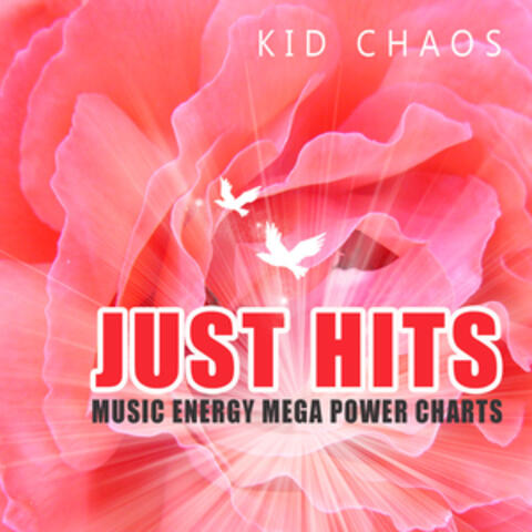 Just Hits (Music Energy Mega Power)