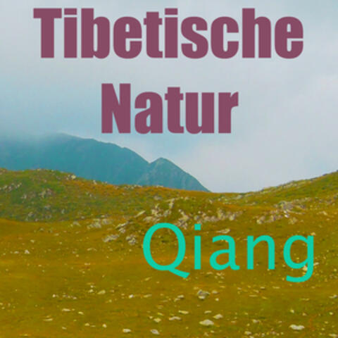 Tibetische Natur