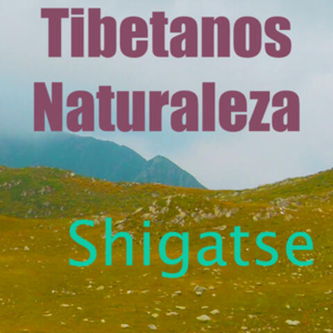 Tibetanos Naturaleza