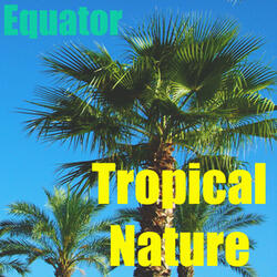 Tropical Nature