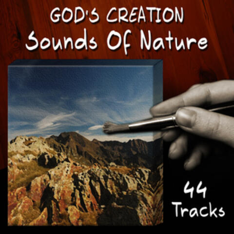 Sounds of Nature (44 Tracks)