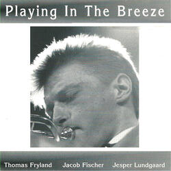 Wrap Your Troubles in Dreams (feat. Jacob Fischer & Jesper Lundgaard)