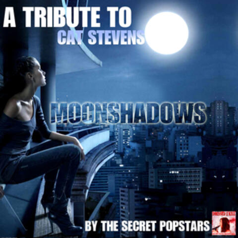 A Tribute to Cat Stevens