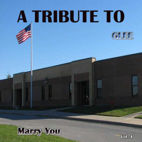 A Tribute to Glee, Vol. 4 (Marry You)