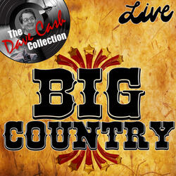 In a Big Country (Live)
