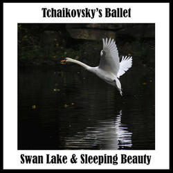 Swan Lake, Op. 20: No. 3, Scène. Allegro moderato
