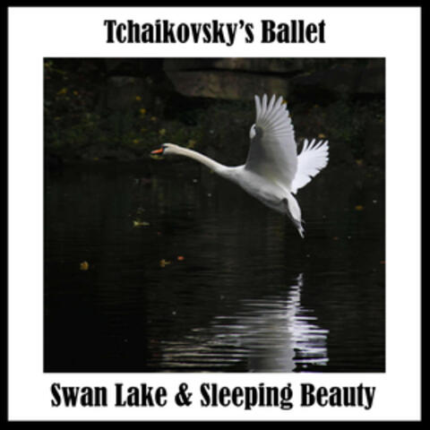 Tchaikovsky's Ballet: Swan Lake & Sleeping Beauty