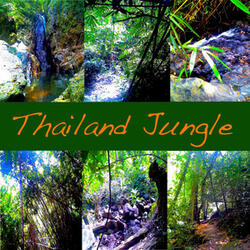 Thailand Jungle