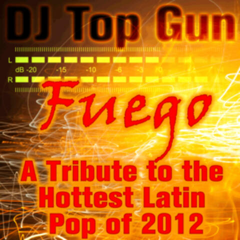 Fuego: A Tribute to the Hottest Latin Pop of 2012
