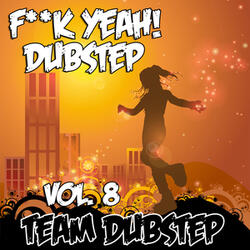 The Way I Like It (Dubstep Remix)