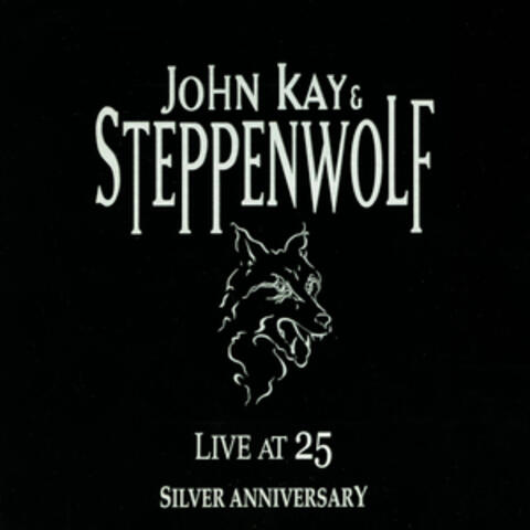 Live at 25 Silver Anniversary