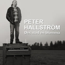 Det stod en blomma