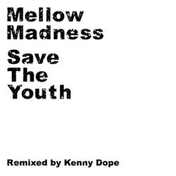 Save the Youth (Kenny Dope 7 Inch Mix Inst)