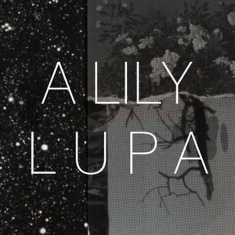 Lupa