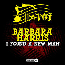 I Found a New Man (Instrumental)